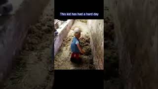 Viral Funny Videos Short Clips - Another Hard Day - Video Cue