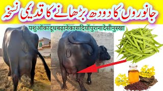 How To Increase  Milk Of Dairy Animals|गाय/भैंस का दूध बढ़ाने वाला बेस्ट फार्मूला|Farming Official