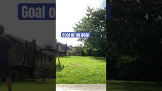 Goal or no goal