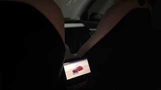 Tesla Model Y / 3 NEW Rear Display Entertainment System!