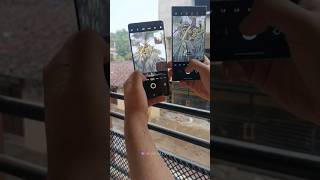 Samsang S23 Ultra Better Than Vivo X90 Pro #shorts #viralfeeds #shortfeed #s23ultra #vivox90pro #s23