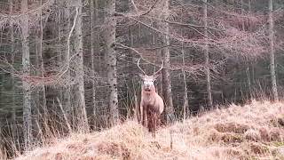 10th Dec Glencoe