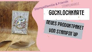 Hop @StempelfamilieAngelaKoeber & friends / Neuer Minikatalog #stampinup / Gucklochkarte Winervögel