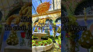 Spring Display at Bellagio Conservatory in Las Vegas | #lasvegas #lasvegasstrip #lasvegashotels