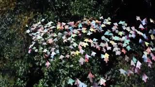 A flock of paper airplanes flutters through a dense jungle, weaving around trees as if they were.