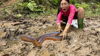 Dig the Mud for catch eels , cooking eels, Find bamboo shoots and cook