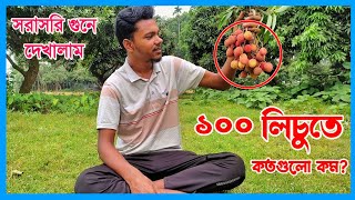 লিচুর হিসেবে গরমিল | হাতেনাতে গুনে দেখলাম | লিচু বিক্রি