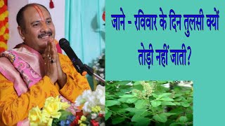 Ravivar ko Tulsi  kyo nahi todte hain | Tulsi ji ki kahani | रविवार को तुलसी क्यों नहीं तोड़ते हैं