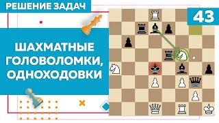 Шахматные головоломки, одноходовки | задачи в шахматах | Chess Up! School #43