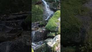 Nature's Serenade, Mount Fløyen, relaxing sounds,cascading water, meditation, serene,