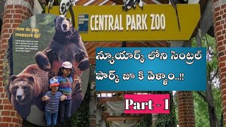 న్యూయార్క్ లోని సెంట్రల్ పార్క్ జూ l New York Central Park zoo l Indian vlogs in USA l Madhudarshini