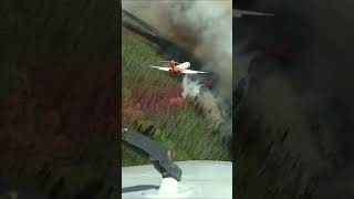 This plane flies into a forest fire | daily dose of aviation #shorts #aviation