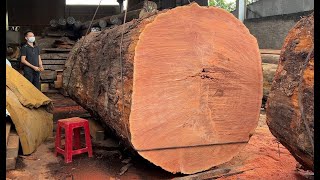 Biggest Heavy Sawmill Cutting Wood | Operating Extra Large Saws, Great Sawing Techniques