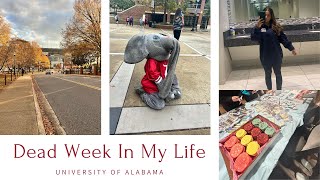 Week in My Life | Dead Week at The University of Alabama