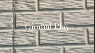 Gimbal Play - Zhiyun Smooth 5