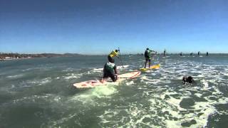 Battle of the Paddle 2013 by: OnIt Pro