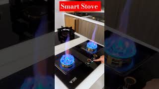 Double Burner Smart Stove #shorts