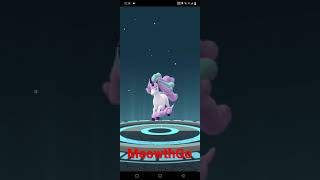 evolving Ponyta Psychic type #PoGo