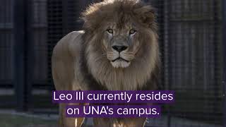 2020 Leo and Una Giving Day