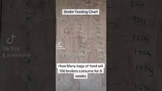 Broiler Feeding Chart- How many bags of feed will 100 broiler chicken consume in 8weeks