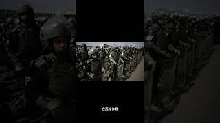 巴西陸軍是如何參與第一次世界大戰和第二次世界大戰的？ #shorts