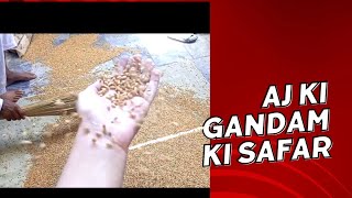 Gandam ki Safae: Wheat Cleaning at Home