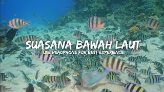 RELAKSASI SUARA BAWAH LAUT