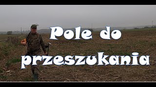 Wykopki nowe pole