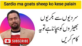 Sardio ma Goats sheep ki lazmi ehtiatain