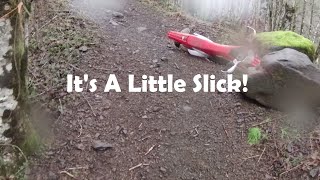 Switchbacks and Chocolate Cake - Riding Tillamook State Forest