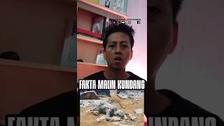 TERNYATA PATUNG ITU BUATAN MANUSIA