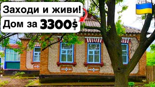 🇺🇦 Заходи и живи! Дом в селе за 3300$ Продажа недвижимости за копейки! Всё есть Уютное тихое село!