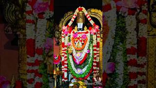 Tirumala aa Venkateshwara swamy ni deggara nundi chuse bagyam kaluguthundi #bhakti #shorts #viral