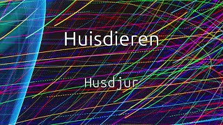 Lär dig nederländska: Husdjur