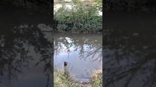 Gonna drive through it? When the road FLOODS, Alfriston East Sussex flooding & storms