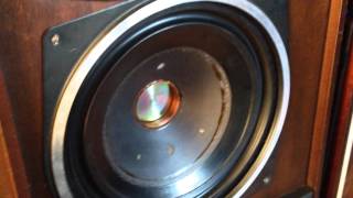 Inside Dust Cap Radiotehnika S-90 Subwoofer