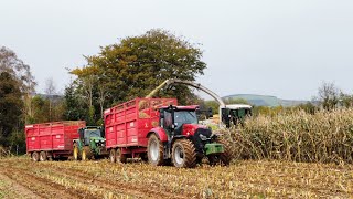 CHOPPING MAIZE 2023!!!! (October 7th) ~ Claas Jaguar 890!!! Ireland!!!! 🇮🇪