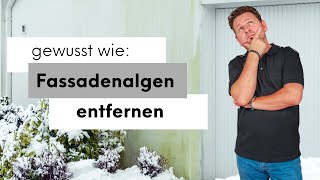 Algen an der Fassade - Wie wirst du diese los?