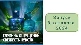 Запуск 6 каталога 2024