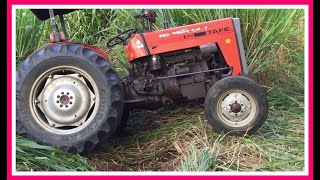 Tafe45di #Tractor pulled Timber SL Tractor & Harvester #Polonnaruwa #srilanka