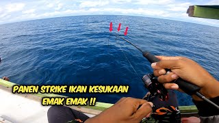 Mancing Pake Umpan Cumi Potong Dan Udang Kupas, Auto Penen Ikan Kesukaan Emak Emak !!