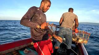 D&G giving Lando some strength pulling his fish pot, fried fish and bread for lunch