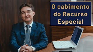 O cabimento do Recurso Especial