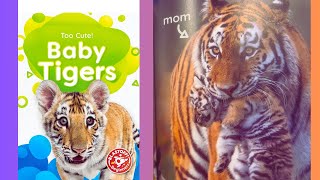 Too Cute Baby Tigers Read A loud Story Book for Babies, Toddlers, Preschool & Kindergarten Kids |