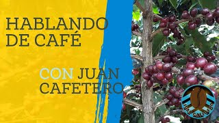 ¿cosas que no conocias? Recorriendo el cafetal hablando de café y el eje cafetero colombiano.