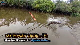 Edan,,,!!! mancing toman disini gak ada habisnya auto strike bertubi tubi😱