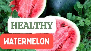 Why Your Watermelons Have Stopped Growing—and How to Fix It!