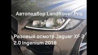 🐈Jaguar XF 2,который любили!❤️ | X260 2.0 Ingenium AWD 97.000 KM | Как должен выглядеть Британец?!🇬🇧