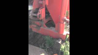 Carrot harvester at the Food Farm