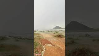 Rain in the Sahara Desert | Sahara Desert